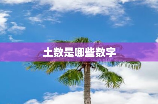 土数是哪些数字