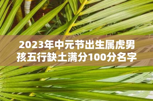 2025年中元节出生属虎男孩五行缺土满分100分名字