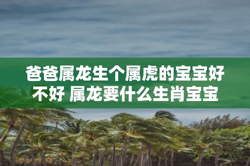 爸爸属龙生个属虎的宝宝好不好 属龙要什么生肖宝宝最好