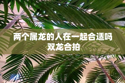 两个属龙的人在一起合适吗 双龙合拍