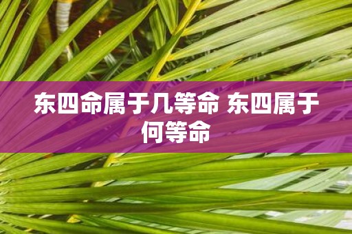 东四命属于几等命 东四属于何等命
