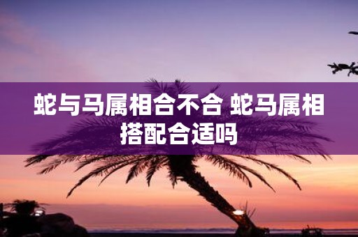 蛇与马属相合不合 蛇马属相搭配合适吗