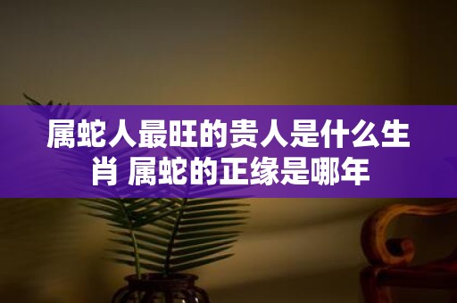 属蛇人最旺的贵人是什么生肖 属蛇的正缘是哪年