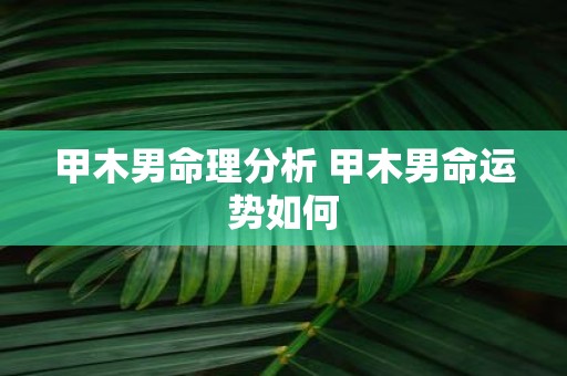 甲木男命理分析 甲木男命运势如何