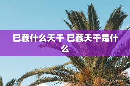 巳藏什么天干 巳藏天干是什么