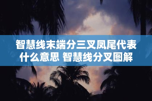 智慧线末端分三叉凤尾代表什么意思 智慧线分叉图解