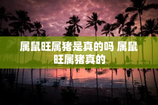 属鼠旺属猪是真的吗 属鼠旺属猪真的