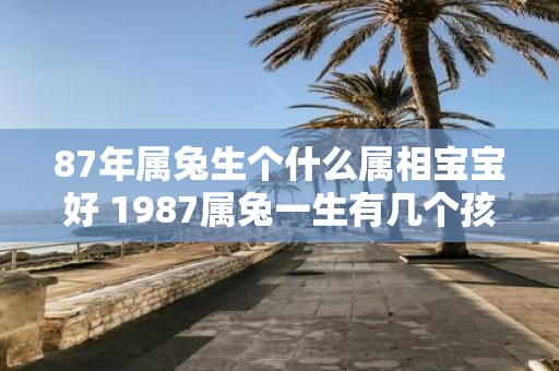 87年属兔生个什么属相宝宝好 1987属兔一生有几个孩子
