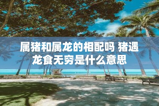 属猪和属龙的相配吗 猪遇龙食无穷是什么意思