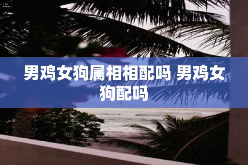 男鸡女狗属相相配吗 男鸡女狗配吗
