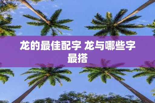 龙的最佳配字 龙与哪些字最搭