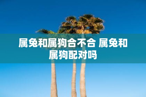 属兔和属狗合不合 属兔和属狗配对吗