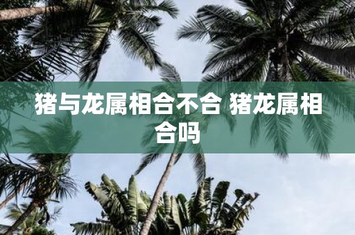 猪与龙属相合不合 猪龙属相合吗