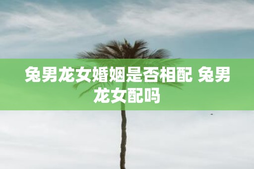 兔男龙女婚姻是否相配 兔男龙女配吗