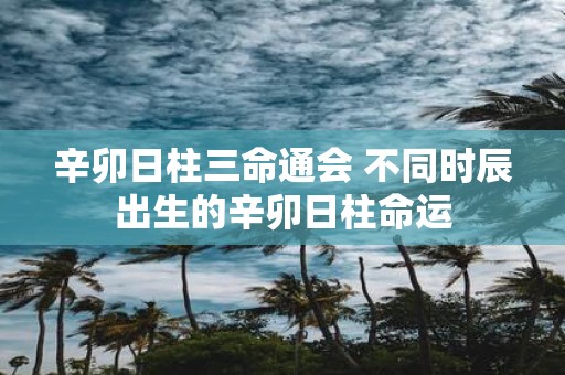 辛卯日柱三命通会 不同时辰出生的辛卯日柱命运 辛卯日柱三命通会 不同时辰出生的辛卯日柱命运