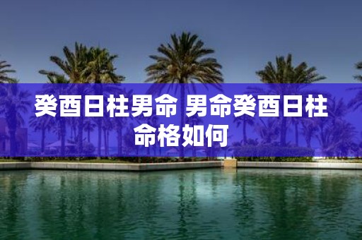 癸酉日柱男命 男命癸酉日柱命格如何