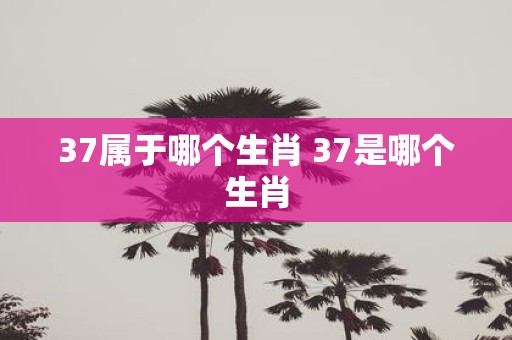 37属于哪个生肖 37是哪个生肖