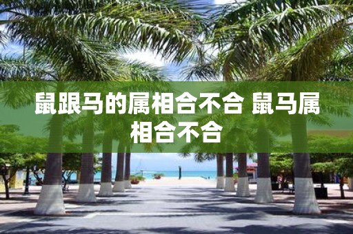 鼠跟马的属相合不合 鼠马属相合不合