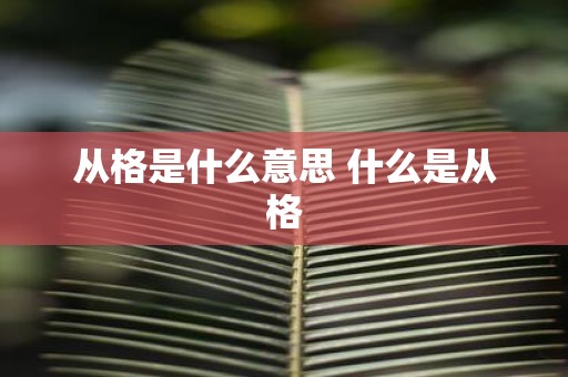 从格是什么意思 什么是从格