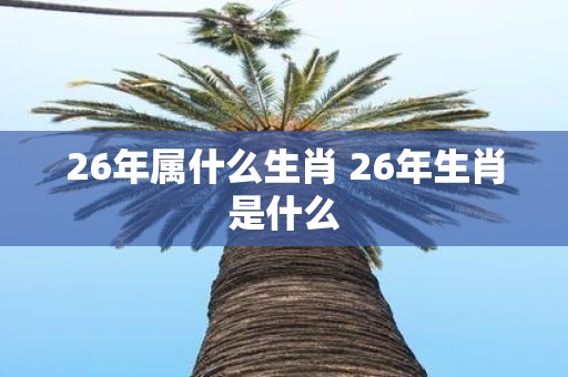 26年属什么生肖 26年生肖是什么