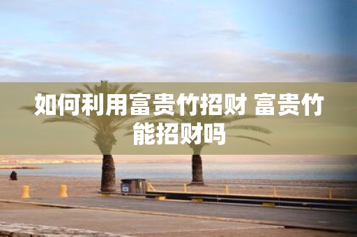 如何利用富贵竹招财 富贵竹能招财吗