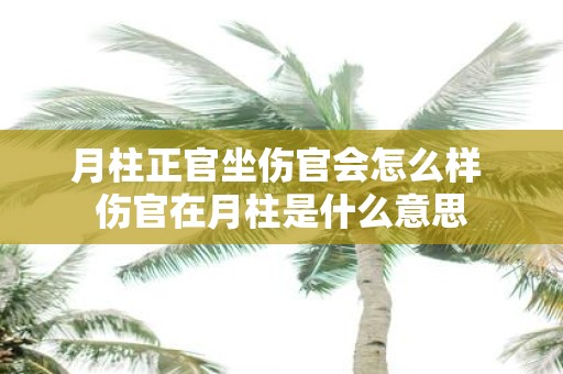 月柱正官坐伤官会怎么样 伤官在月柱是什么意思
