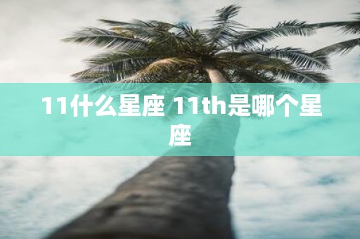 11什么星座 11th是哪个星座