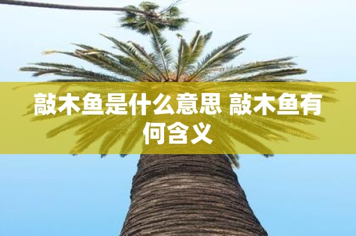 敲木鱼是什么意思 敲木鱼有何含义