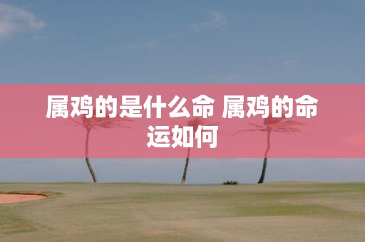 属鸡的是什么命 属鸡的命运如何