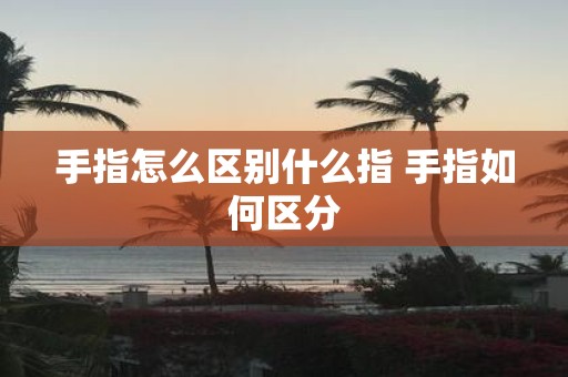 手指怎么区别什么指 手指如何区分