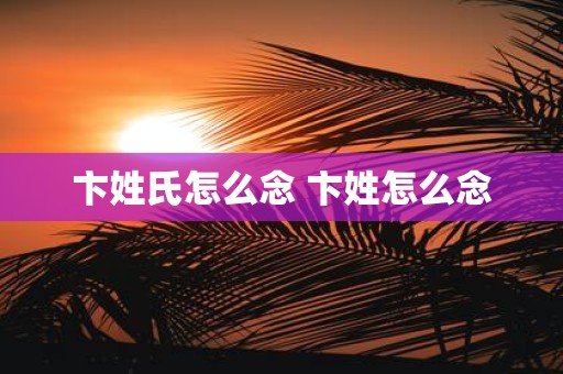 卞姓氏怎么念 卞姓怎么念