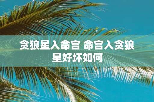 贪狼星入命宫 命宫入贪狼星好坏如何