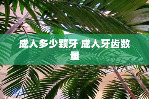 成人多少颗牙 成人牙齿数量