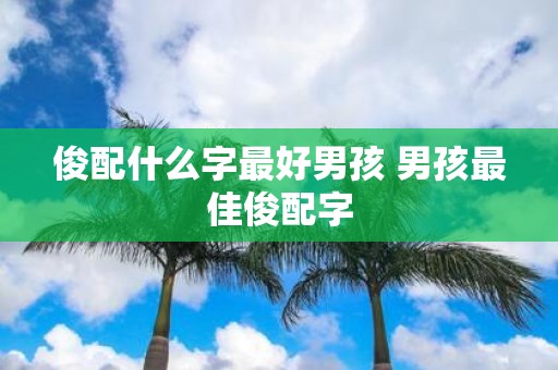 俊配什么字最好男孩 男孩最佳俊配字