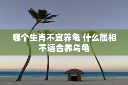 哪个生肖不宜养龟 什么属相不适合养乌龟