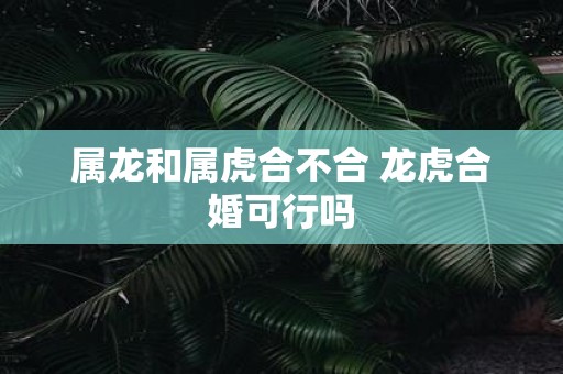 属龙和属虎合不合 龙虎合婚可行吗