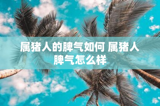属猪人的脾气如何 属猪人脾气怎么样