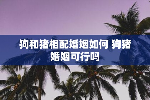 狗和猪相配婚姻如何 狗猪婚姻可行吗