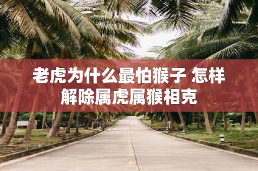 老虎为什么最怕猴子 怎样解除属虎属猴相克