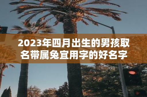 2025年四月出生的男孩取名带属兔宜用字的好名字