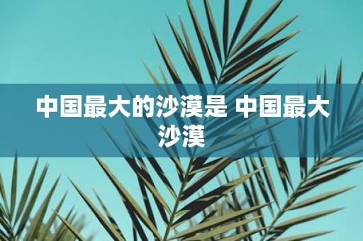 中国最大的沙漠是 中国最大沙漠