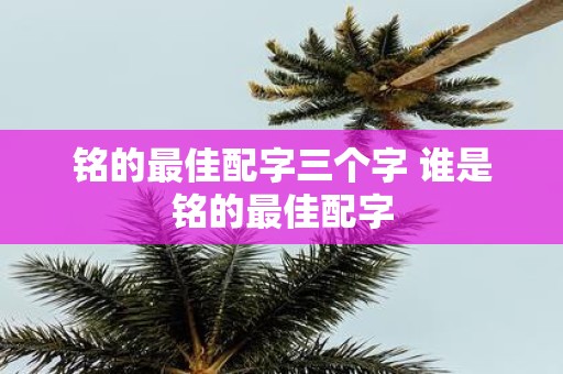 铭的最佳配字三个字 谁是铭的最佳配字