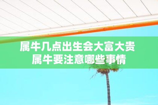 属牛几点出生会大富大贵 属牛要注意哪些事情