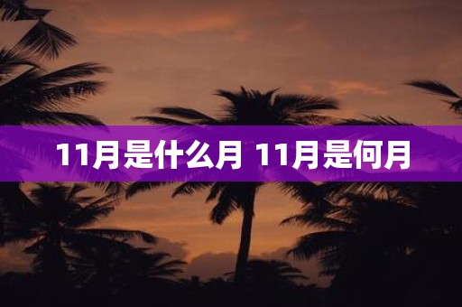11月是什么月 11月是何月