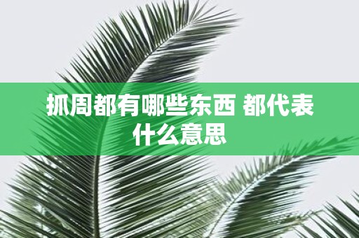 抓周都有哪些东西 都代表什么意思