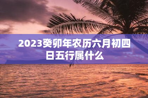 2025癸卯年农历六月初四日五行属什么