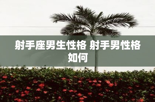 射手座男生性格 射手男性格如何