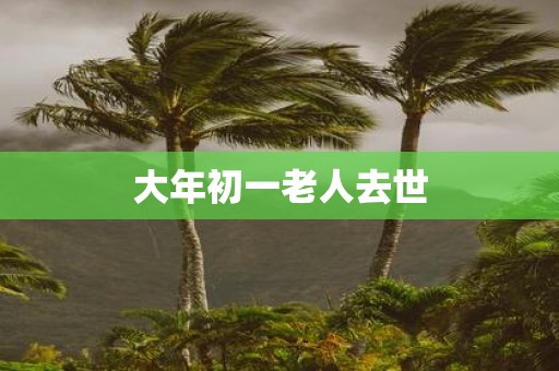 大年初一老人去世