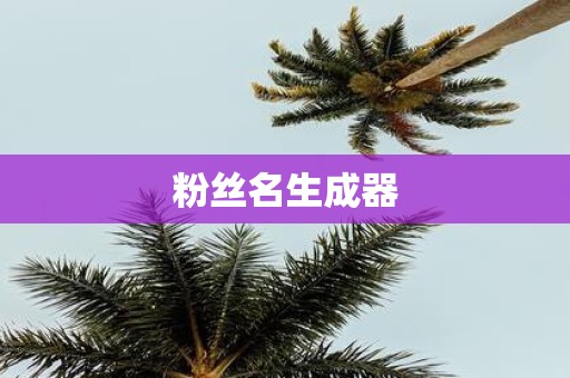 粉丝名生成器