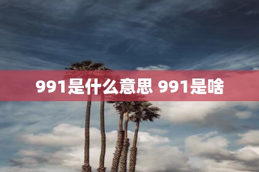 991是什么意思 991是啥